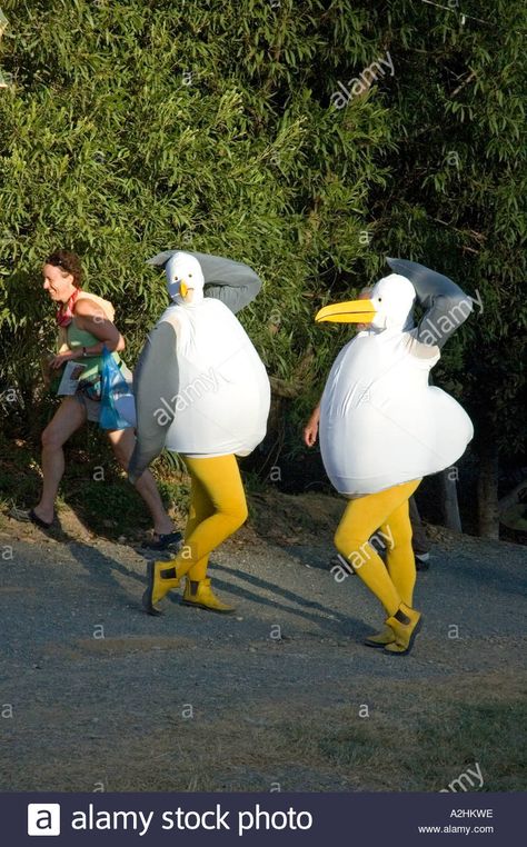 Quirky Costume Ideas, Adult Bird Costume, Silly Goose Costume, Silly Costume Ideas, Quail Costume, Silly Halloween Costumes, Bird Halloween Costume, Big Bird Costume, Silly Costumes