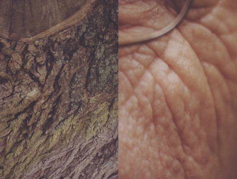 Human Vs Nature By Agnieszka Lepka - IGNANT Skin Photography, Man Vs Nature, Human Photography, Human Body Parts, Everything Is Connected, Man Vs, A Level Art, Human Condition, Human Connection