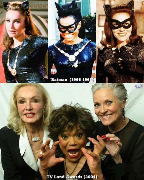 Lee Meriwether Catwoman, Catwoman Eartha Kitt, Batman Live Action, Eartha Kitt Catwoman, Batman The Movie 1966, Batgirl Pictures, Batman Things, Lee Meriwether, Catwoman Batman