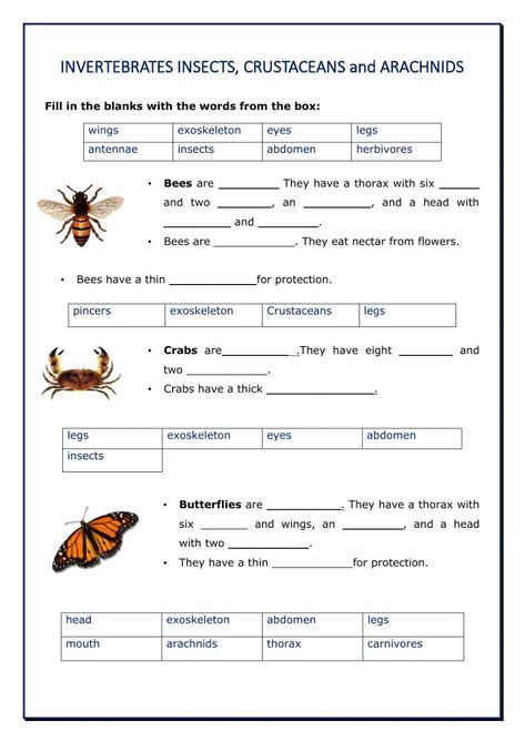 Vertebrates And Invertebrates, Biology Worksheet, Mathematics Worksheets, Science Worksheets, Crustaceans, Living Things, Arachnids, Online Activities, School Subjects