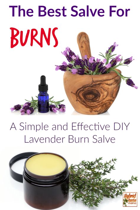 Trying to find the best homemade salve for burns? Learn how to make lavender burn salve. It’s a simple and effective burn relief salve that is easy to make. #salve #healingsalve #burns #lavendersalve #homemadesalve From HybridRastaMama.com Diy Lavender Oil, Burn Salve, Homemade Salve, Burn Relief, Pineapple Health Benefits, Diy Lavender, Salve Recipes, Herbal Salves, Healing Salves