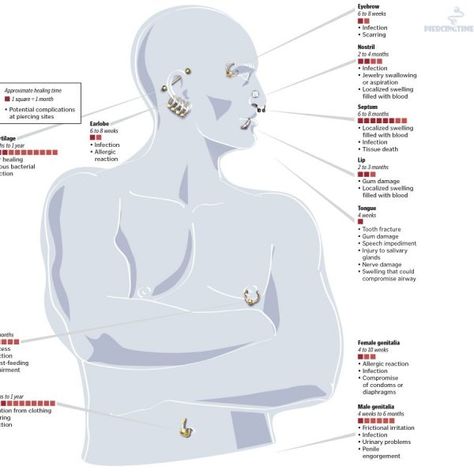 Body piercing locations & names Ear Piercing Diagram, Full Ear Piercings, Ear Piercing Names, Kylie Jenner Piercings, Ear Peircings, Body Chart, Ear Piercings Chart, Piercing Chart, Double Ear Piercings