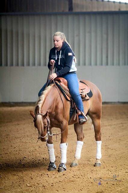 Reining Outfits, Reigning Horses, Horse Lifestyle, Gamora Marvel, Chestnut Horses, Horse Standing, Different Horse Breeds, Ranch Riding, Horse Reining