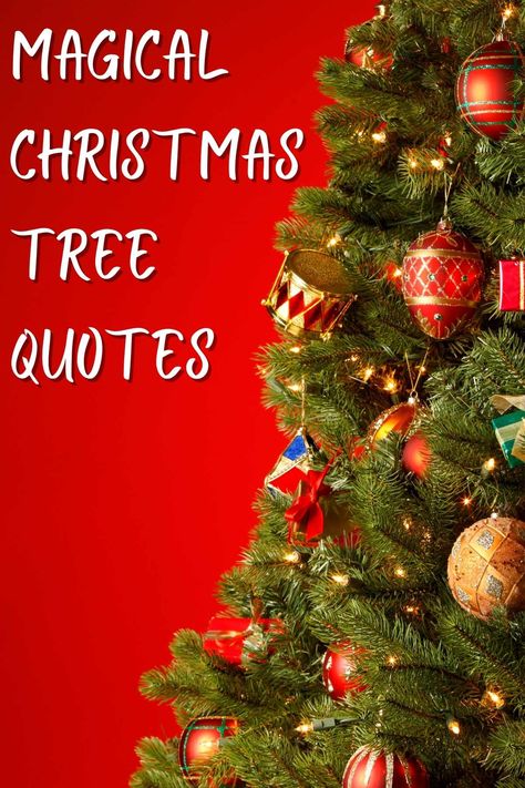 91 Christmas Tree Quotes That Are Festively Short - Darling Quote Lessons From A Christmas Tree, Quotes About Christmas Magic, Christmas Tree Quotes Funny, Christmas Tree Sayings And Quotes, Christmas Tree Quotes Instagram, Christmas Tree Sayings, Christmas Tree Meaning, Christmas Tree Poem, Christmas Tree Landscape