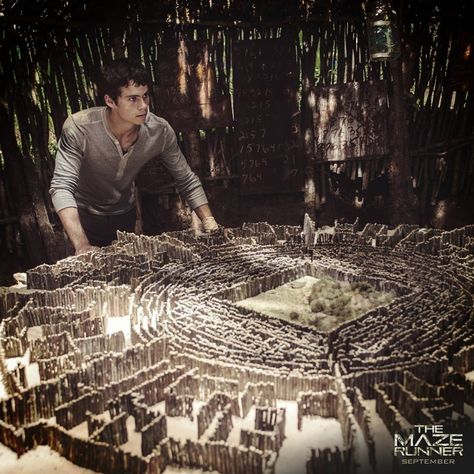 The runners map the maze every night, hoping to find a hidden code, message, or exit. They later on do find a code, which must be inputted into a computer to open the exit to the maze. Maze Runner 1, Scorch Trials, Maze Runner Thomas, Maze Runner The Scorch, Maze Runner Trilogy, Maze Runner Cast, Maze Runner Movie, Newt Maze Runner, The Scorch Trials