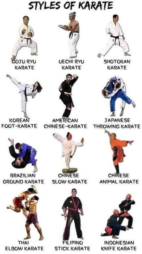 Karate Tips, Karate Training Exercises, Martial Arts Fashion, Different Martial Arts, Karate Styles, Karate Moves, Martial Arts Moves, Martial Arts Forms, Mixed Martial Arts Training