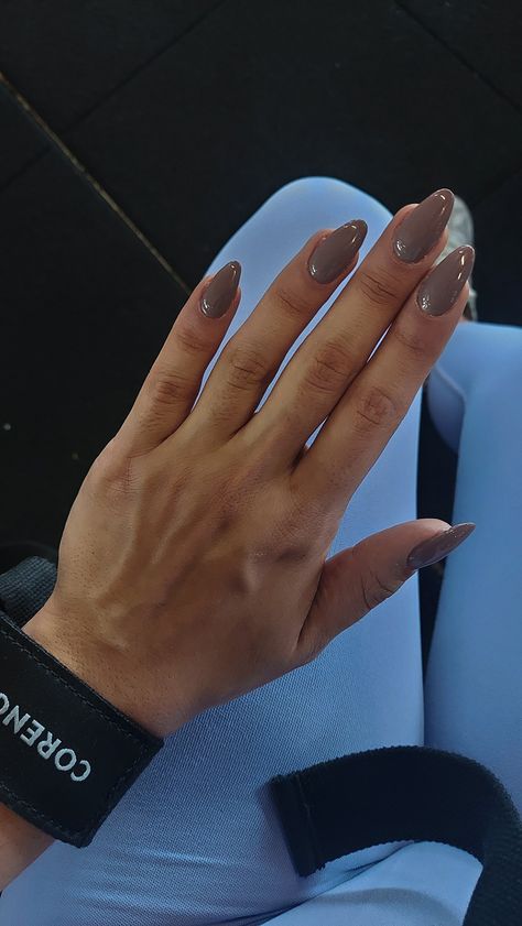 Nail Inspo Shellac Short, Basic Nails Oval, Solid Color Acrylics Almond, Cute And Simple Almond Nails, Gel Nails Ideas Short Plain, Basic Colors Nails, Plain Pretty Nails, Square Medium Length Acrylic Nails, Solid Neutral Nails