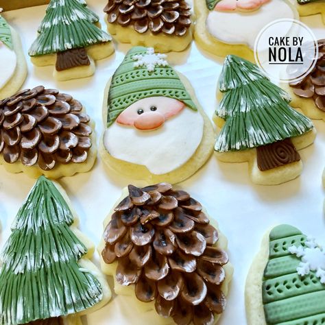 Winter woodland gnomes, trees, and pine cones…#cookiedecorating #fondantcookies #instacookie #cookiesofinstagram #decoratedsugarcookies #cookiestagram #marshmallowfondant #winterwoodlandcookies #decoratedcookiesofinstagram Pine Cone Cookies Decorated, Pinecone Cookies, Woodland Gnomes, Woodland Cookies, Winter Cakes, Sugar Plums, Marshmallow Fondant, Winter Cake, Tree Cookies