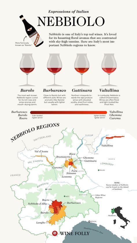 Italian Nebbiolo -  Imagine getting kicked in the face by a ballerina. Nebbiolo has this exact same kind of elegant brutality. Learn more about the many faces of Nebbiolo on our blog! Italian Wine Tasting, Nebbiolo Wine, Wine Chart, Wine Facts, Wine Names, Barolo Wine, Wine Folly, Wine Map, Wine Knowledge