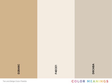 27 Colors That Go With Beige (Color Palettes) - Color Meanings Cream Colored Rug, Beige Color Scheme, Beige Couch, Cream Color Scheme, Beige Room, Living Colors, Beige Color Palette, Gold Color Palettes, Beige Living Rooms