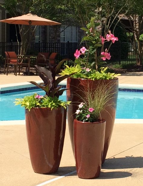 3 Flower Pots Together, Gold Flower Pot, Green Wall Garden, Mandevilla Vine, Front Porch Flower Pots, Colonial Garden, Mediterranean Garden Design, Front Porch Flowers, Apartment Pool