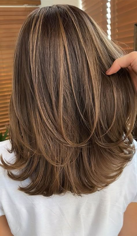 Brown Toffee Highlights, Brunette And Highlights, Base 6 Hair Colour, Highlights For Hair Brown, Color For Hair Highlights, Medium Brown Color Hair, Brown Hair Layers Highlights, Rich Brown With Blonde Highlights, Caramel Brown Blonde Highlights