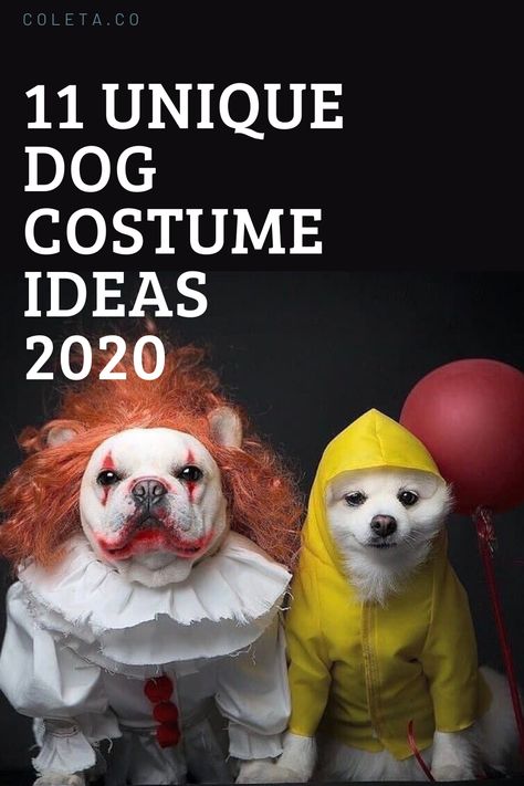 Charlie Brown Halloween Costumes, Dog Costume Ideas, Emoji Costume, Best Dog Costumes, Yoda Costume, Mandalorian Costume, Costume Unique, Dog Halloween Costume, Without Judgement