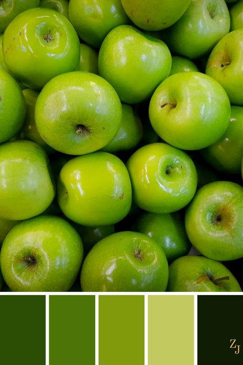 ZJ Colour Palette 212 #colourpalette #colourinspiration Apple Green Color Palette, Apple Color Palette, Color Harmonies, Analogous Color Scheme, Pantone Palette, Color Palette Challenge, Monochrome Palette, Prime Colors, Green Palette