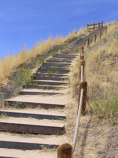 stairs to the beach.... Beach Stairs Outdoor, Beach Pathway, Beach Stairs, Landscape Stairs, Marina Resort, Stairs Architecture, Take The Stairs, Outdoor Stairs, Stair Steps