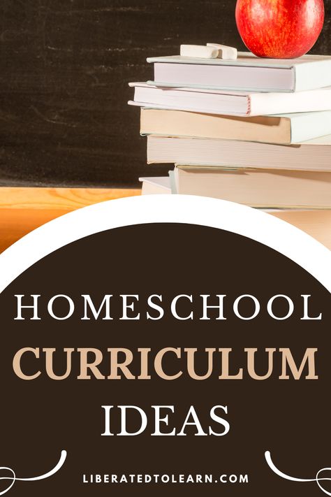 homeschool curriculum ideas How To Develop A Curriculum, Types Of Homeschool Curriculum, Creating Curriculum, Homeschool Typing Curriculum, Texas Homeschool Curriculum, Homeschooling Curriculum, Business Studies, Home Economics, Science Curriculum