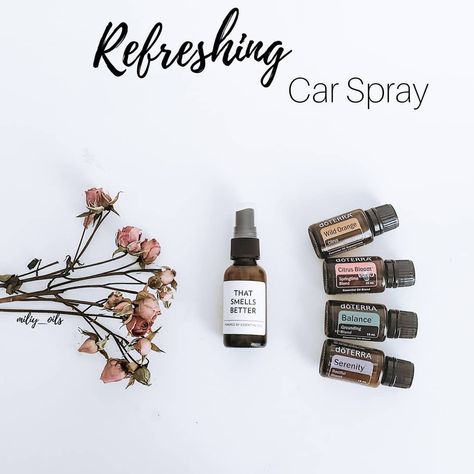 doTERRA oils 🌿 Julia on Instagram: “Many of us like to use air freshener sprays to help our homes, cars smell better but did you know the traditional air fresheners contain…” Doterra Cleaning, Young Living Oils Recipes, Living Oils Recipes, Car Spray, Car Diffuser Essential Oils, Car Needs, Doterra Essential Oils Recipes, Way To Save Money, Healing Essential Oils