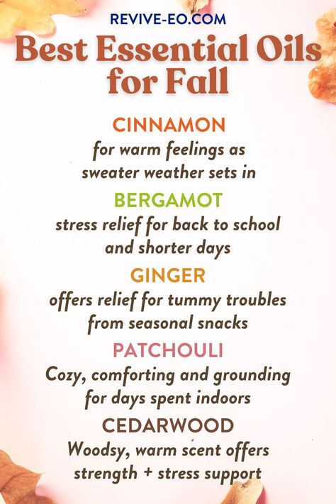 Here's our top 5 essential oils for Fall. These are the best essential oils for warmth, stress, comfort and tummy troubles. 

At revive-eo.com we offer pure essential oils that are perfect for inhalation or diffusing all season long. Antifungal Essential Oil, Diy Perfumes, Herbs Medicine, Essential Oil Products, Fall Dec, Essential Oil Perfumes Recipes, Christmas Side, Essential Oil Combinations, Thieves Essential Oil