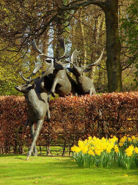 Andy Scott, Over The Hedge, Deer Statues, Deco Nature, Public Sculpture, Royal Society, Outdoor Sculpture, Outdoor Art, Land Art