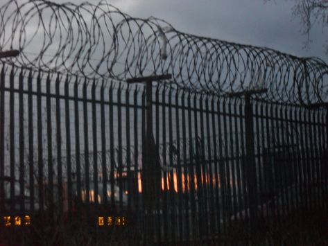 barbed wire fence Barbed Wire Fence Aesthetic, Prison Aesthetic, Darkest Minds, Barbed Wire Fencing, Gellert Grindelwald, The Darkest Minds, Ju Jitsu, Young Avengers, Electric Fence