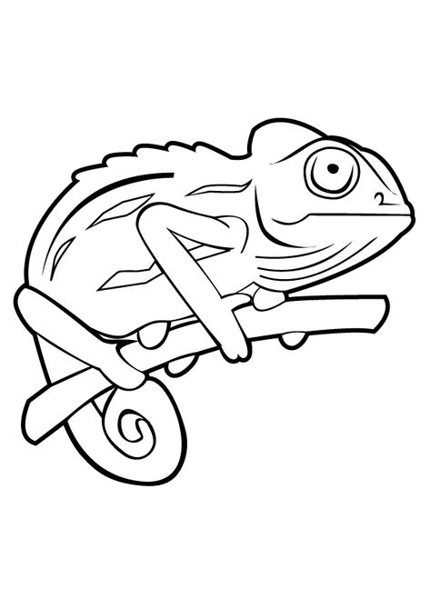 Coloring Page Cameleon Art, Jackson Chameleon, Chameleon Tattoo, Chameleon Art, Chameleon Color, Wood Burning Patterns, Outline Drawings, Vector Illustration Design, Adult Coloring Books