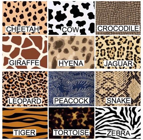 Guide to Animal Prints Textile Pattern Design Fashion, Cheetah Print Outfits, Fashion Terminology, Style Chart, Fashion Design Patterns, Fashion Vocabulary, Textile Pattern Design, Floor Cloth, Fashion Mood Board