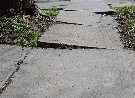 Fix cracked sidewalks Sidewalk Repair, Cottagecore Living, Cozy Cottagecore, Leaky Roof, Concrete Walkway, Fallen Tree, Bob Vila, Tree Removal, Backyard Entertaining