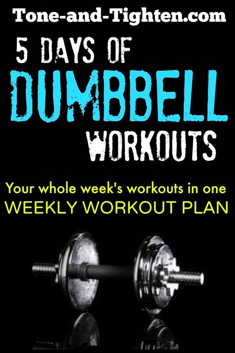 Weekly Workout Plan – 5 days of great dumbbell workouts to train your whole body! 1 Month Workout Plan, One Week Workout, 5 Day Workout Plan, Dumbbell Workout Plan, 5 Day Workouts, Full Body Workout Plan, Dumbbell Workouts, Workout Plan For Men, Dumbell Workout