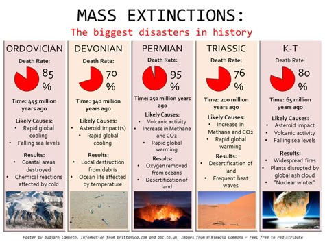 Biological Anthropology, Geology Rocks Mineral, Mass Extinction, History Of Earth, Environmental Scientist, 8th Grade Science, Plate Tectonics, Engineering Technology, Earth Science