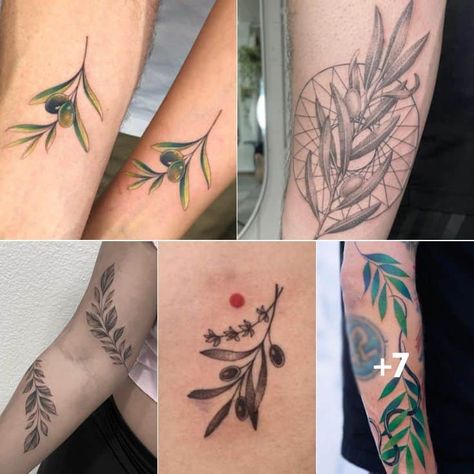 The post What Does a Tattoo of an Olive Branch Mean? appeared first on TattooAdore. Olive Branch Meaning, Olive Branch Tattoo Arm Wrap, Ancient Olympic Games, Olive Branch Tattoo, The Olive Branch, Branch Tattoo, Just Ink, Noah S Ark, Tattoo Aftercare