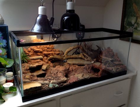 Leopard Gecko Bioactive, Leopard Gecko Setup, Leopard Gecko Cage, Diy Bearded Dragon Enclosure, Gecko Cage, Lizard Cage, Leopard Gecko Tank, Snake Enclosure, Gecko Terrarium