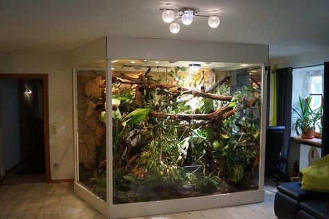 Big Snake Enclosure, Boa Enclosure, Terrarium Room, Big Terrarium, Snake Pet, Snake Cages, Snake Terrarium, Frog Terrarium, Snake Enclosure