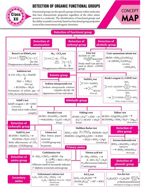 #Detection of #Organic #Functional #Groups - #Concept #Map - #MTG #Chemistry #Today #Magazine #JEEMain #JEEAdvanced #Class11 #ClassXI #Class12 #ClassXII Functional Groups Organic Chemistry, Brain Map, Chemistry Class 11, Organic Chemistry Reactions, Chemistry Class 12, Organic Chemistry Study, Concept Maps, Chemistry Study Guide, Chemistry Basics