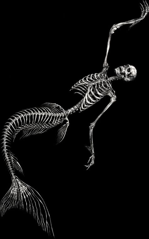 Mermaid Skeleton, Body References, Skeleton Drawings, Skeleton Tattoos, Mermaid Drawings, Mermaid Tattoo, Black Mermaid, Skeleton Art, Arte Inspo