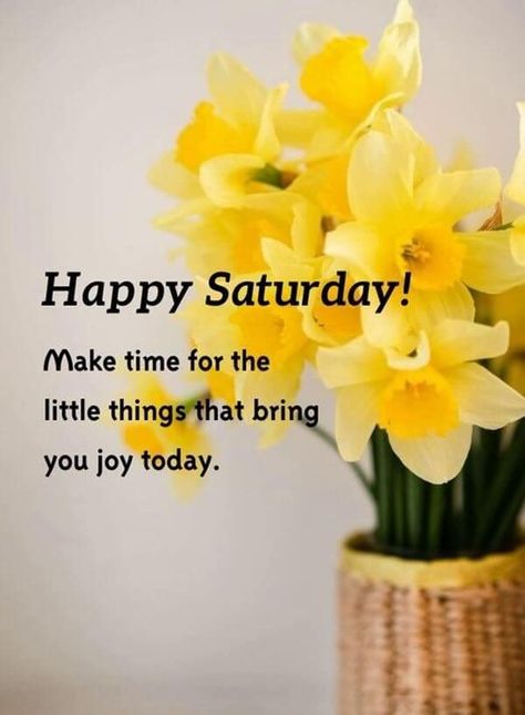 Good Morning Saturday Images with Beautiful Quotes 19 Saturday Morning Greetings, Morning Positive Quotes, Happy Morning Images, Good Morning Saturday Wishes, Happy Saturday Pictures, Good Morning Saturday Images, Happy Saturday Quotes, Saturday Pictures, Saturday Morning Quotes