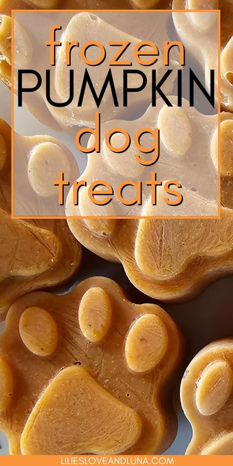 Paw shaped frozen pumpkin dog treats with text overlay that reads frozen pumpkin dog treats. Homemade Pumpkin Puree For Dogs, Dog Treats With Greek Yogurt, Dog Treats Made With Yogurt, Frozen Pumpkin Treats For Dogs, Dog Biscuits Homemade Pumpkin, Golden Retriever Food Recipes, Diy Dog Treats For Joints, Pumpkin Dog Recipes, Pupsicle Pops Recipes