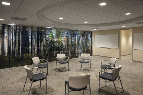 Counselling Room Design, Counselling Room, Betty Ford, Office Waiting Rooms, Medical Office Design, Healthcare Architecture, Hospital Interior, Clinic Interior Design, Therapy Office Decor