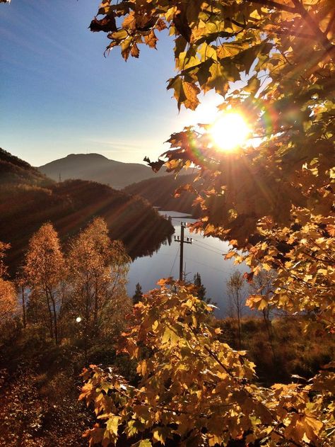 Norway Food, Bergen Norway, Beautiful Autumn, Mountain Lake, Scandinavia, Norway, The Past, Lake, Natural Landmarks