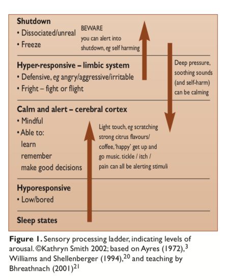 Sensory Ladder, Alert Program, Sensory Integration Therapy, Cerebral Cortex, Sensory Diet, Limbic System, Ireland Scotland, Dialectical Behavior Therapy, Borderline Personality