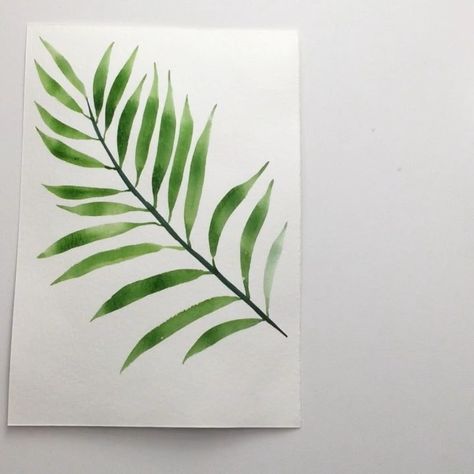 A Living Reverie - Norah Han on Instagram: “This little video is about  how to paint areca palm leaves! First step is do a curve with darkest shade, then expand the leaves form both…” How To Draw Palm Leaves, Palm Leaves Drawing, Areca Palm, Leaf Drawing, Nature Painting, Small Leaf, Watercolor Sketch, Dark Shades, Leaf Art