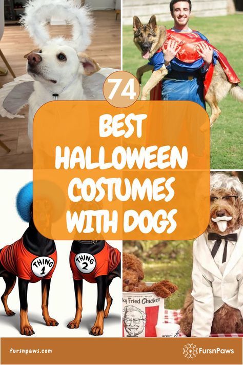 Cute Costumes With Your Dog, Matching Costumes With Your Dog, Puppy Costumes Halloween, Twin Dog Costumes, Halloween Costumes Dog And Owner, Easy Homemade Dog Costumes, Dog Pair Halloween Costumes, Two Dogs Halloween Costumes, Dog Costumes Ideas