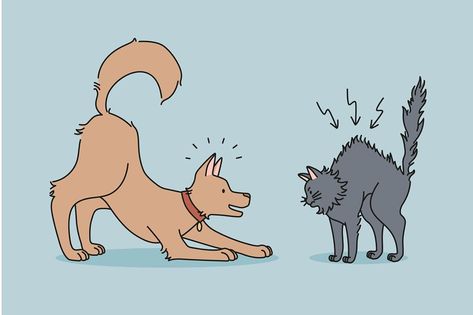 Playful Dog Illustration, Dogs Playing Illustration, Dog Animation Drawing, Angry Dog Illustration, Angry Cat Illustration, Angry Cat Drawing, Dog And Cat Illustration, Dog And Cat Drawing, Cat And Dog Cartoon