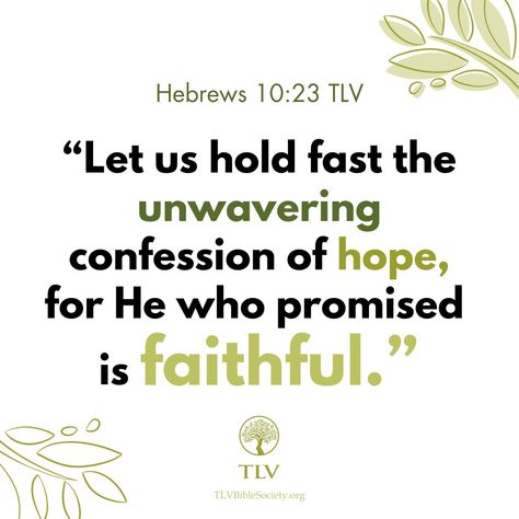 "Let us hold fast the unwavering confession of hope, for He who promised is faithful." Hebrews 10:23 TLV #verseoftheday #votd #scripture #bibleverse #dailybibleverse #tlvbible #tlv #bibleverseoftheday #WordofGod #shalom #hebrews #unwavering #confession #hope #promise #faithful He Who Promised Is Faithful, Hebrews 10 23, Book Of Hebrews, Hebrews 10, Hold Fast, Inspirational Verses, Daily Bible Verse, Verse Of The Day, Word Of God