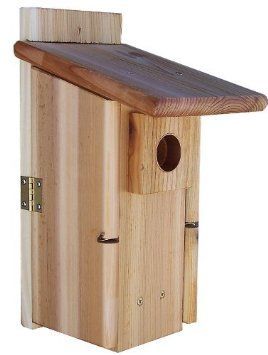 We actually have something similar due to certain people driving past our house to try and spy. It's an investment for our case. T&M Bluebird House Plans, Blue Bird House, Bird House Plans Free, Bluebird House, Bird House Feeder, Bird House Plans, Bird House Kits, Bird Aviary, Birdhouse Designs