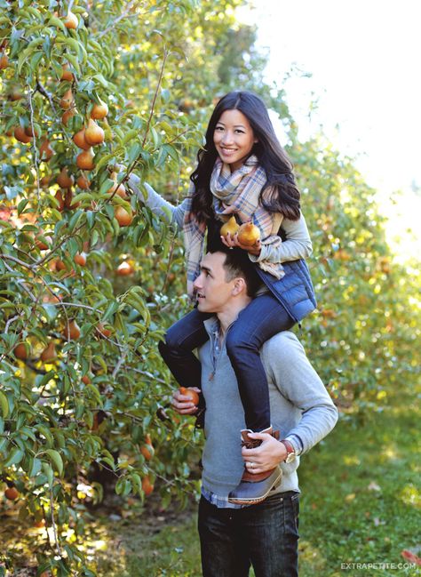 Picking apples + pears in New England // casual outfit in puffer vest + plaid scarf + sorel boots Apple Orchard Photography, Apple Orchard Outfit, Orchard Outfit, Fall Couple Outfits, Orchard Photography, Farm Outfit, Apple Picking Outfit, Fall Family Photo Outfits, Fall Pics