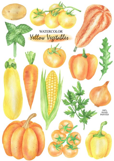 Pencil Food, Vegetable Clipart, Halloween Lunch Box, Yellow Vegetables, Vegetable Drawing, Watercolor Food Illustration, Fall Produce, Recipe Art, Recipe Drawing