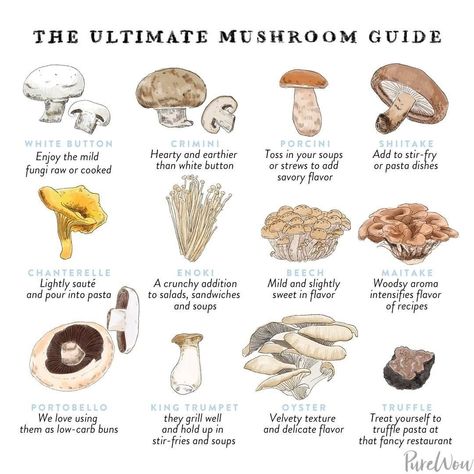 Best Food on Instagram: “Gone are the days when the only mushrooms in the produce aisle were white buttons (nothing against ’em, but it’s time to expand your…” Types Of Edible Mushrooms, Mushroom Types, Food Mushrooms, Mushroom Guide, White Button Mushrooms, Tempeh Recipes, Mushroom Plant, Mushroom Dish, Button Mushroom