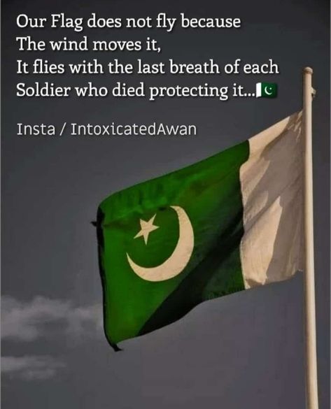 Pakistan independence day pakistani flag pakarmy soldiers patriots quotes 23 March Pakistan Day Quotes, Quotes About Pakistan, Pakistan Flag Aesthetic, Pakistani Independence Day, Pak Independence Day, Pakistani Quotes, Pakistan Independence Day Images, Pakistan Independence Day Quotes, Pakistan Quotes