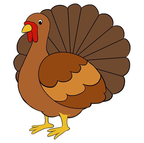 How to Draw Turkey: Step 10 Simple Turkey Drawing, Easy Turkey Drawing, Pictures Of Turkeys, Thanksgiving Drawings, Turkey Cartoon, Turkey Drawing, Chicken Drawing, Turkey Bird, Turkey Images