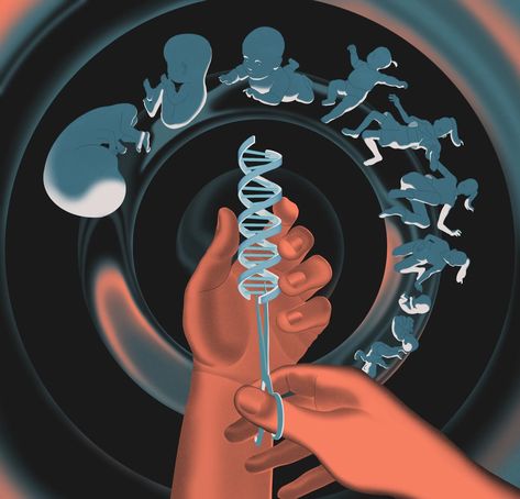 The Transformative, Alarming Power of Gene Editing | The New Yorker Biotechnology Art, Gene Editing, Genetic Counseling, Dna Art, Scientific Poster, Molecular Genetics, Human Embryo, Nurse Inspiration, Genetic Diseases